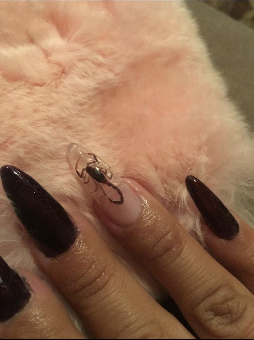 Dark-skinned hand with coffin-shaped nails. One nail is clear with a preserved scorpion encased in it.