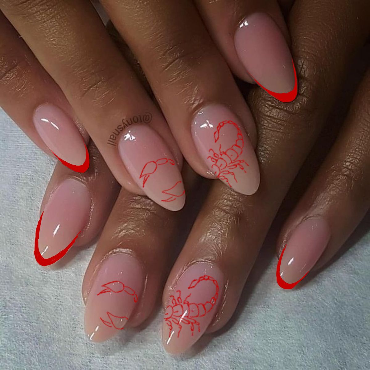 Manicured oval fingernails with a nude base, each featuring a hand-drawn red outline of a scorpion, and red curved tips.